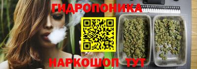 спайс Тара
