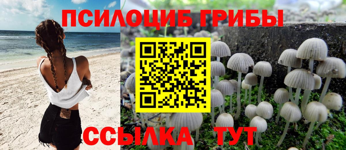 Галлюциногенные грибы ЛСД  Галлюциногенные грибы Psilocybine cubensis  Вход с VPN  Сосновый Бор 